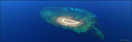 Square Island - Abrolhos - WA (PBH3 00 4760)