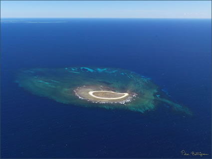 Square Island - Abrolhos - WA (PBH3 00 4761)