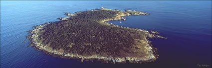 St Helens Island - TAS (PB00 6332)