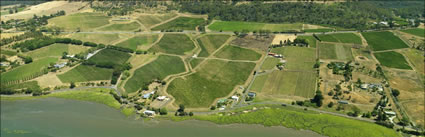 St Mathius Vineyards - TAS (PBH3 00 0436)