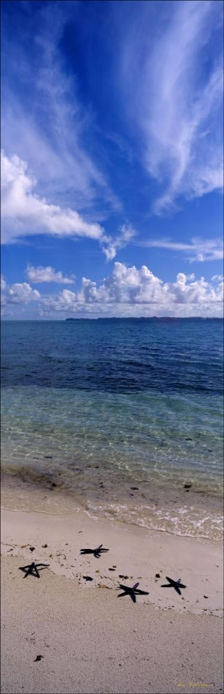 Starfish and Clouds - Palau (PB00 2342)
