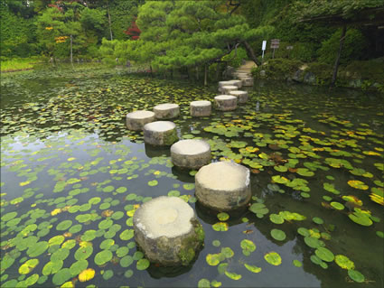 Stepping Stones - Japan SQ (PBH3 00 0000)