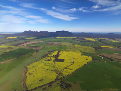 Stirling Range NP - WA (PBH3 00 3502)