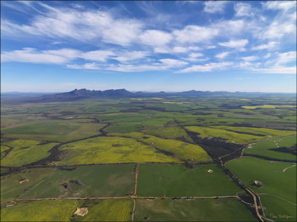 Stirling Range NP - WA SQ (PBH3 00 3489)