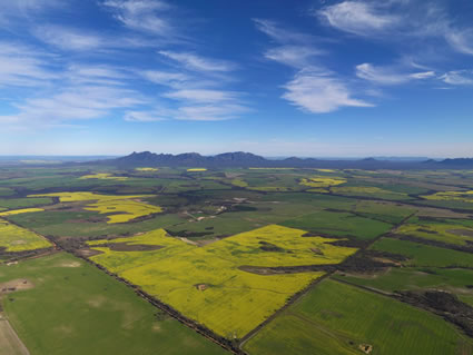 Stirling Range NP - WA SQ (PBH3 00 3496)