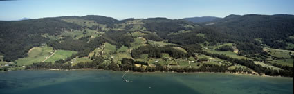 Middleton - Flowerpot - TAS (PB00 5201)