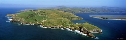 Taiaroa Head Dunedin - NZ (PB00 2654)