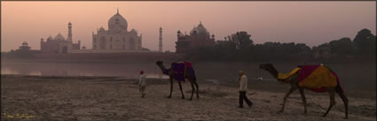 Taj Mahal (PBH3 00 24549)