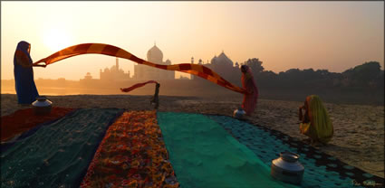 Taj Mahal T (PBH3 00 24585)