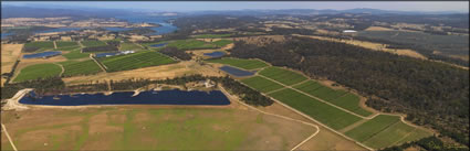 Tamar Ridge Vineyard - TAS (PBH3 00 15350)