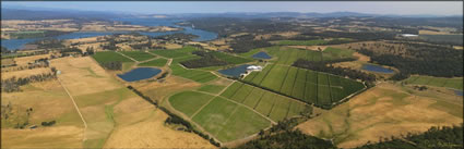 Tamar Ridge Vineyard - TAS (PBH3 00 15351)