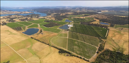 Tamar Ridge Vineyard - TAS T (PBH3 00 15352)