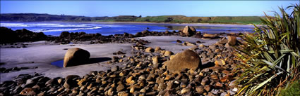 Tauranga Bay - NZ (PB00 2786)