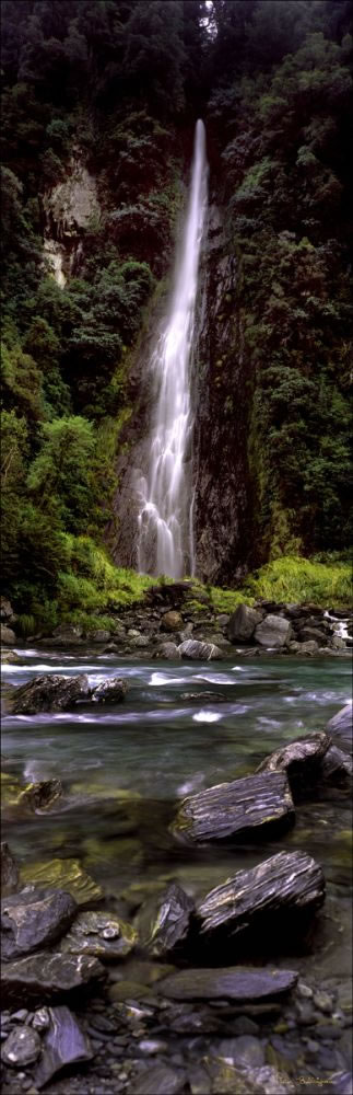 Thunder Creek Falls - NZ (PB00 2836)