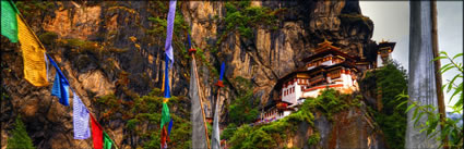Tigers Nest H (PBH3 00 24427)