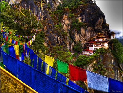 Tigers Nest SQ (PBH3 00 24412)
