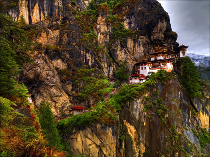 Tigers Nest SQ (PBH3 00 24421)