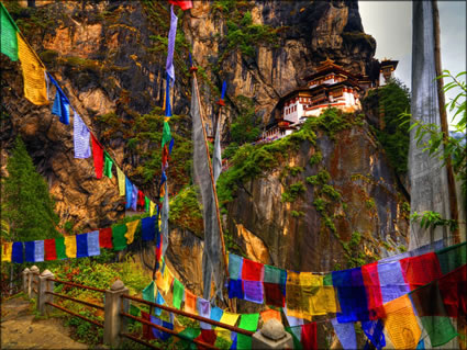 Tigers Nest SQ (PBH3 00 24427)