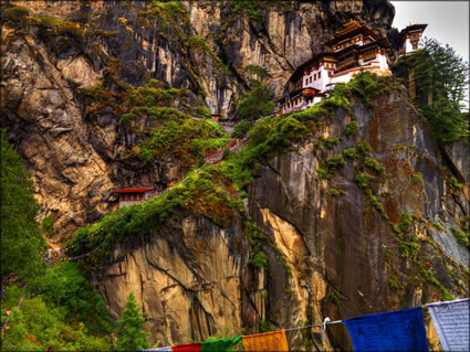 Tigers Nest SQ (PBH3 00 24430)
