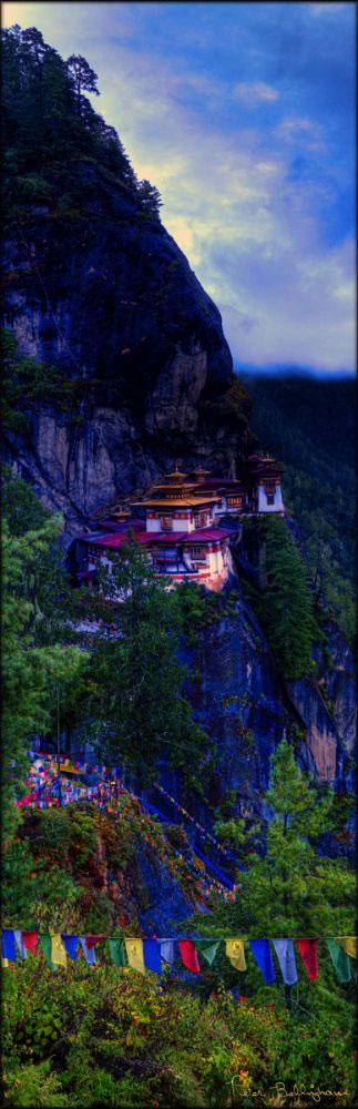 Tigers Nest V (PBH3 00 24447)