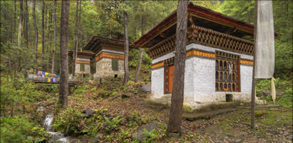 Tigers Nest Walk T (PBH3 00 24374)