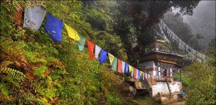 Tigers Nest Walk T (PBH3 00 24396)