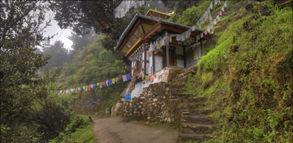 Tigers Nest Walk T (PBH3 00 24399)
