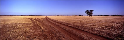 Tracks in the field 2 - Burra - SA (PB00 3973)