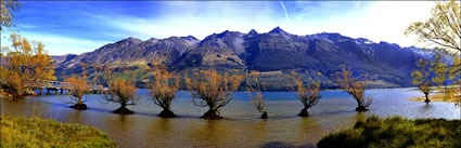 Trees crossing lake - Glenorchy NZ (PB00 2769)