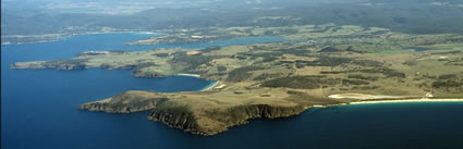 Triabunna Farm - TAS Crop (PB00 5537)