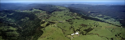 Upper Beechmont 2 - QLD (PB00 3741)