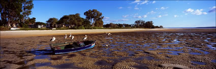 Washed Ashore - North Stradbroke -QLD (PB 002963)