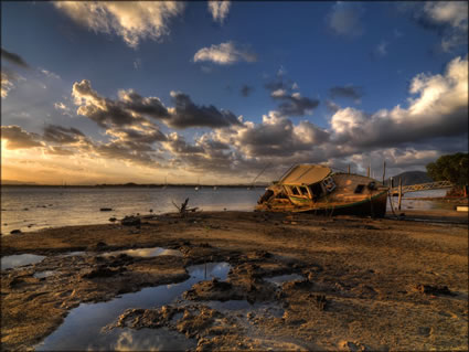 Washed Ashore -QLD  SQ (PBH3 00 13270)