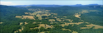 Weldborough - TAS (PB00 6290)