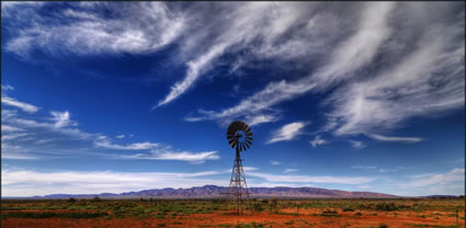 Windmill - Beltana Station - SA T (PBH3 00 22052)