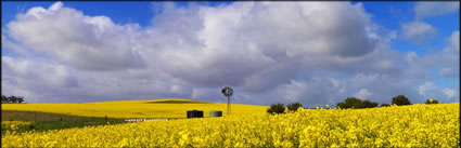 Windmill - Burra - SA H (PBH3 00 30610)
