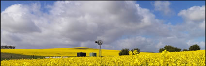 Windmill - Burra - SA H (PBH3 00 30611)