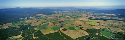 Winnaleah Area - TAS (PB00 6307)