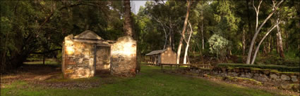 Wirrabara Forest - SA (PBH3 00 22367)