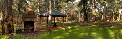 Wirrabara Forest Picnic Ground (PBH3 00 22385)