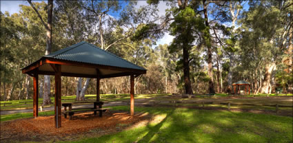 Wirrabara F. Picnic Ground T (PBH3 00 22382)