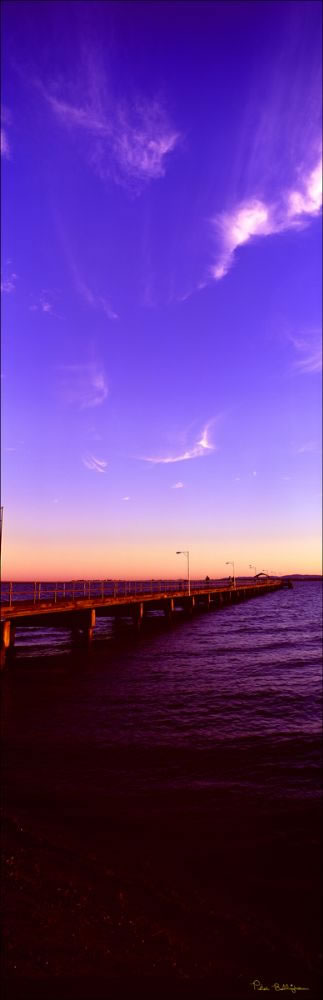 Woody Point Jetty Vertical 2 - QLD (PB 003208)