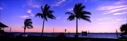 Woody Point Jetty and Palm Trees - QLD (PB 003206)