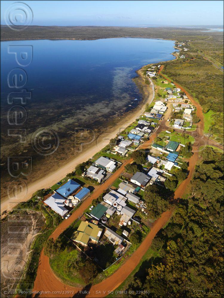 Peter Bellingham Photography Tulka - SA V SQ (PBH3 00 22926)