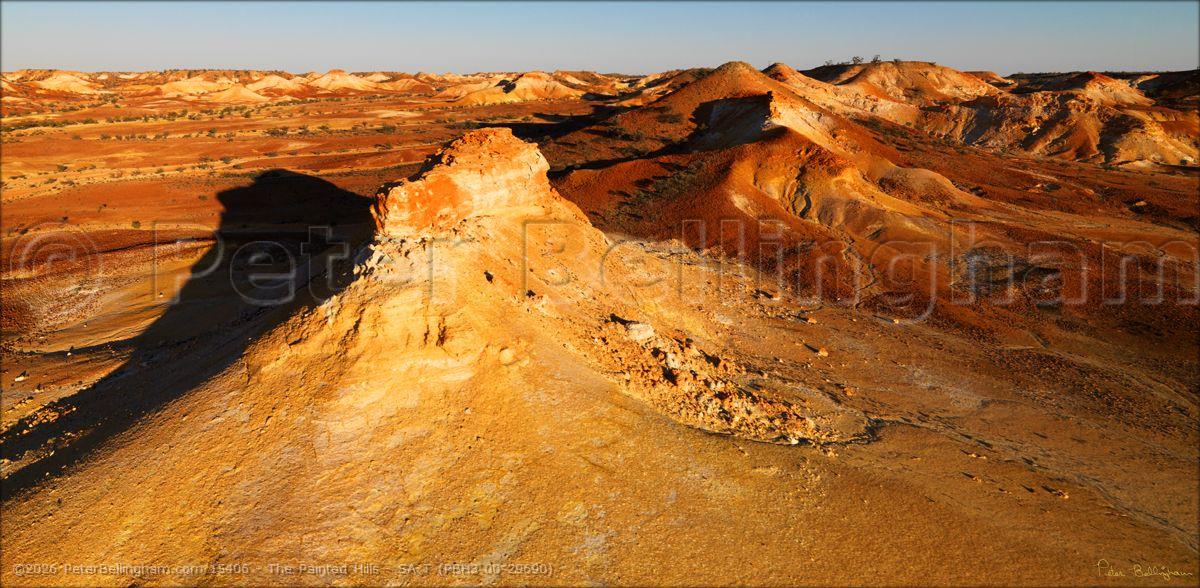 Peter Bellingham Photography The Painted Hills - SA T (PBH3 00 29690)