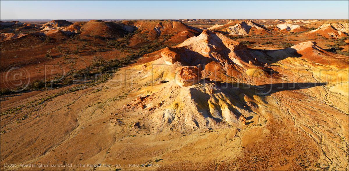 Peter Bellingham Photography The Painted Hills - SA T (PBH3 00 29705)