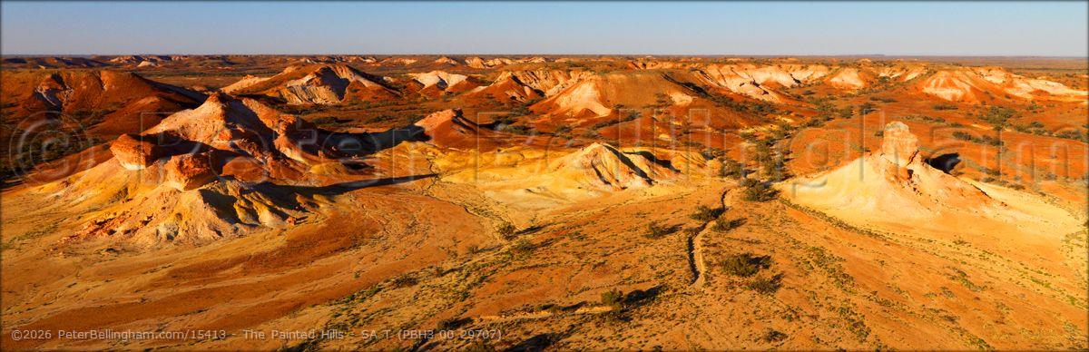 Peter Bellingham Photography The Painted Hills - SA T (PBH3 00 29707)