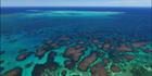 Abrolhos - WA SQ (PBH3 00 4789)