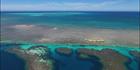 Abrolhos - WA SQ (PBH3 00 4796)