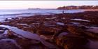 Alexandra Headland Beach Rocks 4 (PB00 3198)